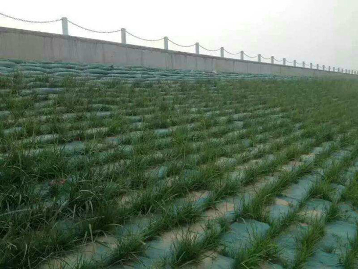 生態袋案例